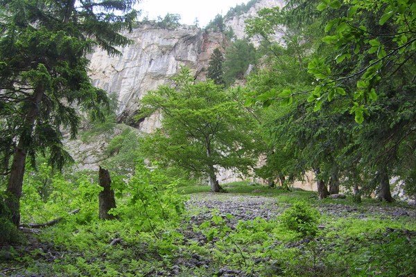 Stärkung der Alpenkonvention in Niederösterreich