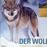Der Wolf - Ein Raubtier in unserer Nähe
