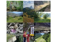 Ökologischer Verbund in den Alpen