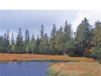 Biotopverbundsysteme