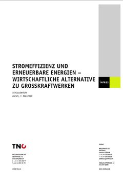 Stromeffizienz und erneuerbare Energien - wirtschaftliche Alternative zu Grosskraftwerken
