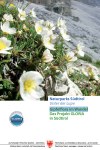 Gipfelflora im Wandel - Das Projekt GLORIA in Südtirol