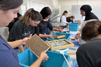 Creative against invasive