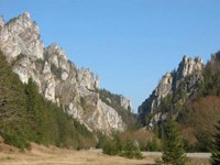 Workshops of the Alps-Carpathian co-operation project