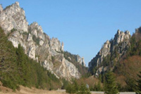 Workshops of the Alps-Carpathian co-operation project