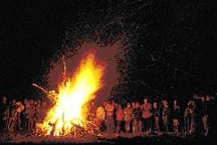 Successful environmental campaign aimed at protecting the Alps