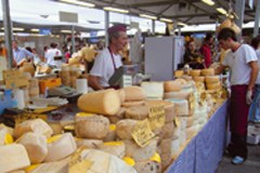 Discussion on territorial cohesion in Europe