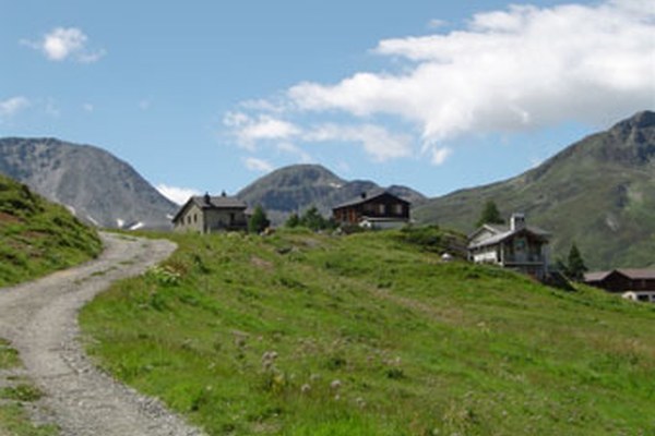 Swiss-Italian cooperation in favor of ecological connectivity