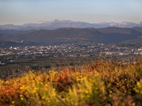 AlpWeek 2024 in Nova Gorica