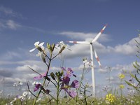 Energy and nature in the Alps: a balancing act