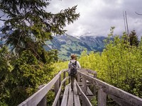 Eusalp without Swiss cantons?