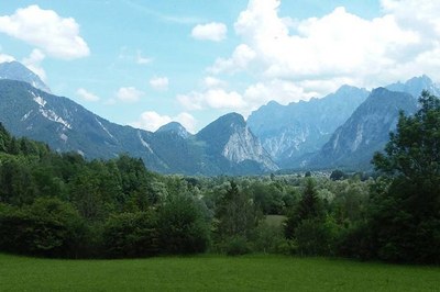 How diversity is lost