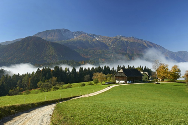 Prospects for young people