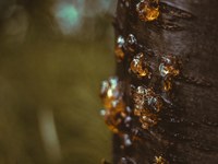 Short story: The sheet of paper