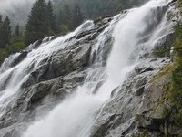 What nature provides