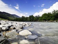 When nature loses, we all lose