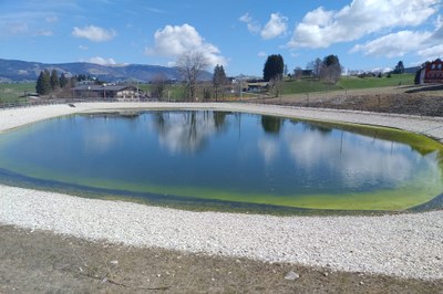 Winter tourism in the climate crisis