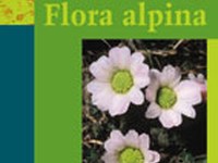 Flora alpina