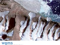 Global Glacier Changes: facts and figures