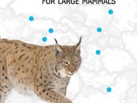 Protection of landscape connectivity for large mammals