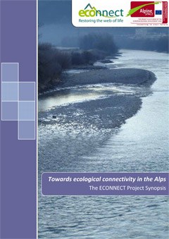 Towards ecological connectivity in the Alps