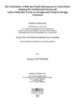 The Facilitation of Mini and Small Hydropower in Switzerland: Shaping the Institutional Framework (with a Particular Focus on Storage and Pumped-Storage Schemes)