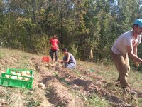 Entretenir les paysages et les relations