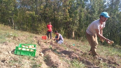 Entretenir les paysages et les relations