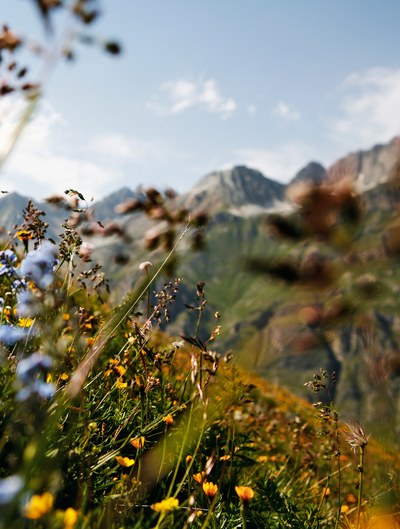 La biodiversité a besoin d’une politique courageuse et d’une mise en œuvre rigoureuse
