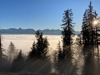 Les paysages alpins ne sont pas renouvelables !