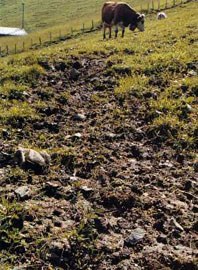 Conférence internationale sur la problématique de l'érosion