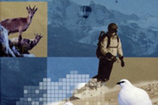 Nouvelles publications sur les activités de loisirs et les animaux des Alpes