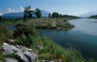 Un appel à la concrétisation du concept de développement pour " L'avenir du Rhin alpin "