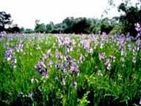 Conférence internationale " Gestion des sites Natura 2000 "