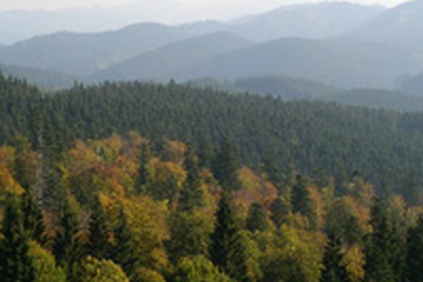 La Convention des Carpates en vigueur