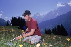 L'engrais modifie les écosystèmes alpins sur le long terme