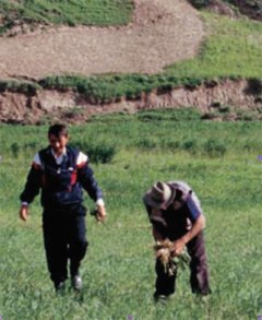 Journée internationale de la montagne sur le thème de la biodiversité