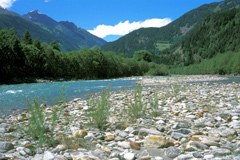 Natura 2000 : lacunes autrichiennes