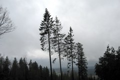 Météo et climat dans les Alpes