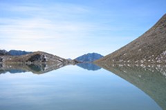 Consécration de la valeur juridique de la Charte de l'environnement française