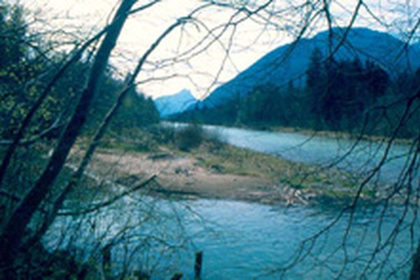 Bad Reichenhall : " A la découverte de la zone alluviale de Marzoller "