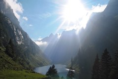 Les mesures climatiques ne sont pas toutes efficaces - ni inoffensives Les actions climatiques au banc d'essai