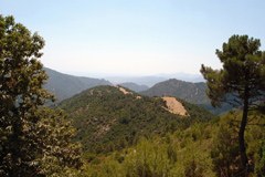 Nouvelle réglementation des collectivités publiques en Italie : danger pour les parcs nationaux