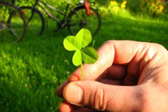 Manifestations compatibles avec l'environnement et la société