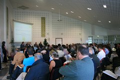 Les Pyrénées en réseaux : pour une vision partagée du développement montagnard