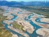 Un instant de répit pour le roi des cours d'eau alpins