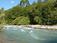 Rivière Rom : hydroélectricité ou biosphère?