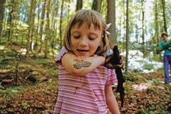 Le mouvement est lancé