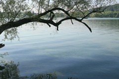 Les États du Rhin alpin contre la fracturation hydraulique sur le lac de Constance