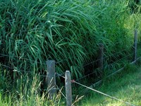 Premières stations de phytoépuration pour des refuges alpins